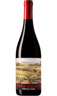 FINCA VALLEJO TINTO